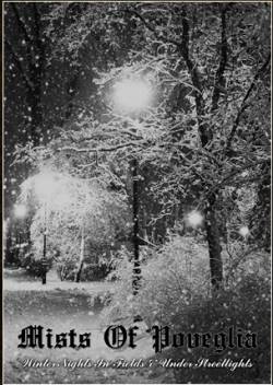 Winter Nights in Fields and Under Streetlights